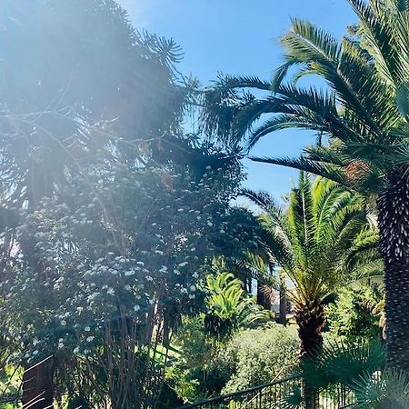 Le Port Tamaris Daire La Seyne-sur-Mer Dış mekan fotoğraf