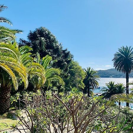 Le Port Tamaris Daire La Seyne-sur-Mer Dış mekan fotoğraf