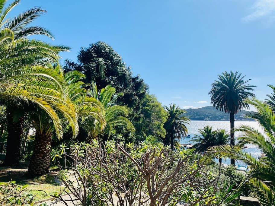 Le Port Tamaris Daire La Seyne-sur-Mer Dış mekan fotoğraf